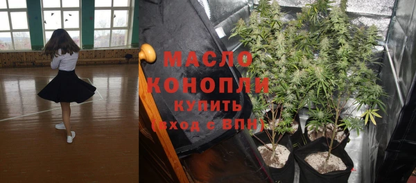 шишки Лагань