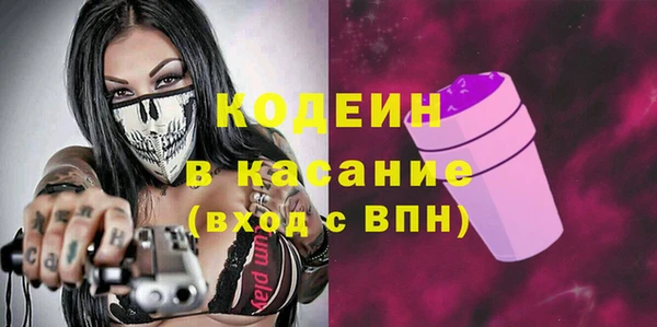 шишки Лагань