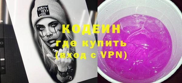 шишки Лагань