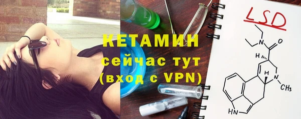 шишки Лагань