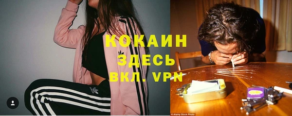 шишки Лагань