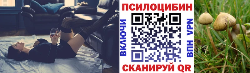 Галлюциногенные грибы MAGIC MUSHROOMS  Купить где  Асино 